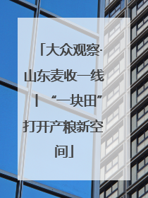 大众观察·山东麦收一线丨“一块田”打开产粮新空间