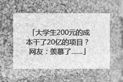 大学生200元的成本干了20亿的项目？网友：羡慕了……