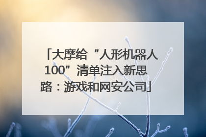大摩给“人形机器人100”清单注入新思路：游戏和网安公司