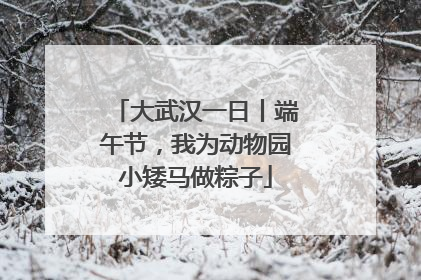 大武汉一日丨端午节，我为动物园小矮马做粽子
