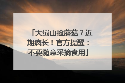 大蜀山捡蘑菇？近期疯长！官方提醒：不要随意采摘食用