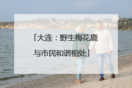 大连：野生梅花鹿与市民和谐相处