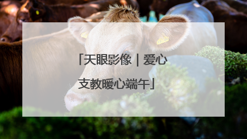 天眼影像｜爱心支教暖心端午