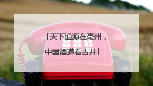 天下道源在亳州，中国酒道看古井