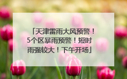 天津雷雨大风预警！5个区暴雨预警！短时雨强较大！下午开场