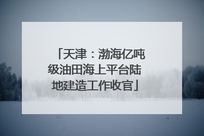 天津：渤海亿吨级油田海上平台陆地建造工作收官