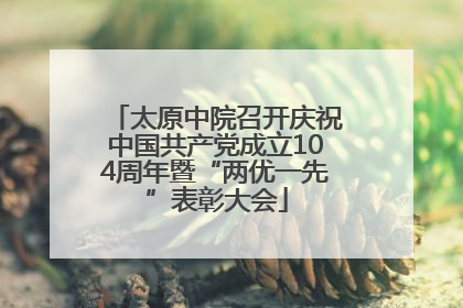 太原中院召开庆祝中国共产党成立104周年暨“两优一先”表彰大会