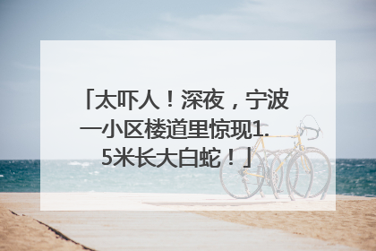 太吓人！深夜，宁波一小区楼道里惊现1.5米长大白蛇！