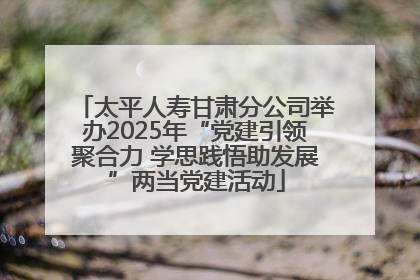 太平人寿甘肃分公司举办2025年“党建引领聚合力 学思践悟助发展”两当党建活动