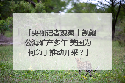 央视记者观察丨觊觎公海矿产多年 美国为何急于推动开采？