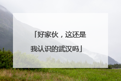 好家伙，这还是我认识的武汉吗