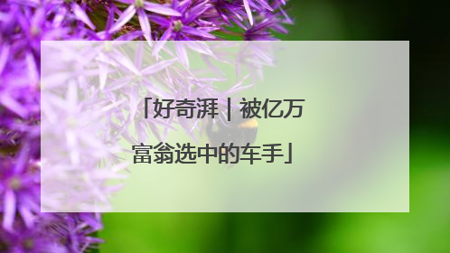 好奇湃｜被亿万富翁选中的车手