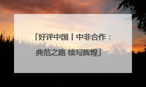 好评中国丨中非合作：典范之路 续写辉煌