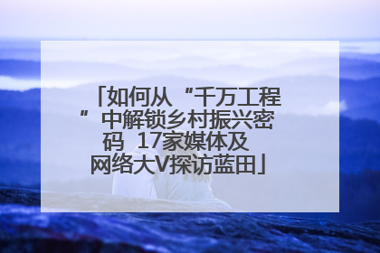 如何从“千万工程”中解锁乡村振兴密码  17家媒体及网络大V探访蓝田