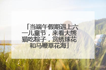 当端午假期遇上六一儿童节，来看大熊猫吃粽子，赏绣球花和马鞭草花海