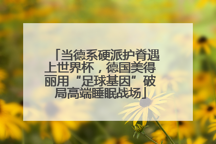 当德系硬派护脊遇上世界杯，德国美得丽用“足球基因”破局高端睡眠战场