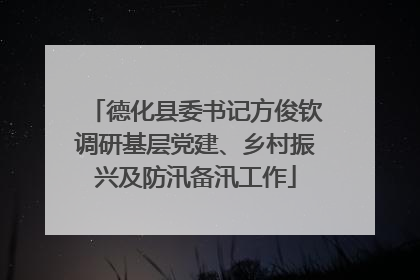 德化县委书记方俊钦调研基层党建、乡村振兴及防汛备汛工作