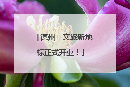 德州一文旅新地标正式开业！