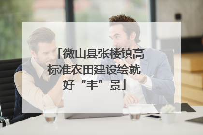 微山县张楼镇高标准农田建设绘就好“丰”景
