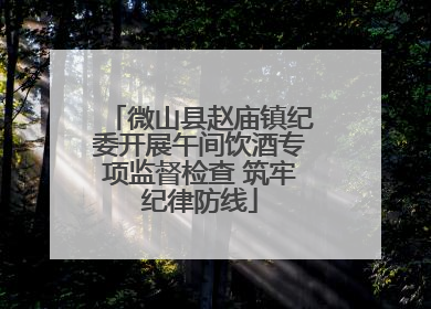 微山县赵庙镇纪委开展午间饮酒专项监督检查 筑牢纪律防线