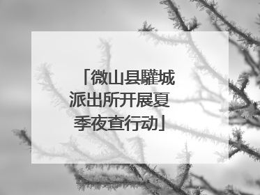 微山县驩城派出所开展夏季夜查行动