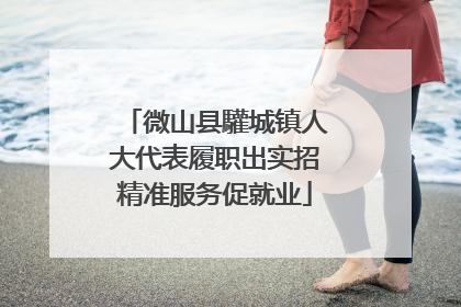 微山县驩城镇人大代表履职出实招精准服务促就业