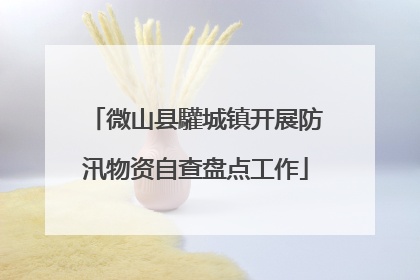 微山县驩城镇开展防汛物资自查盘点工作