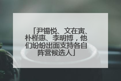 尹锡悦、文在寅、朴槿惠、李明博，他们纷纷出面支持各自阵营候选人