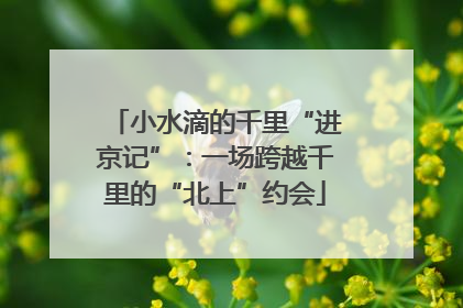 小水滴的千里“进京记”：一场跨越千里的“北上”约会