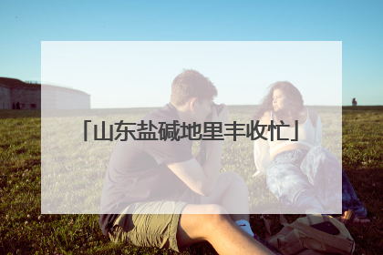 山东盐碱地里丰收忙