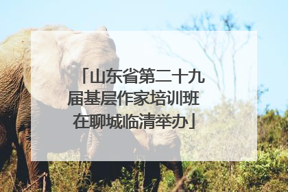 山东省第二十九届基层作家培训班在聊城临清举办