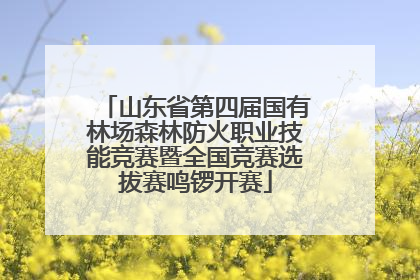 山东省第四届国有林场森林防火职业技能竞赛暨全国竞赛选拔赛鸣锣开赛