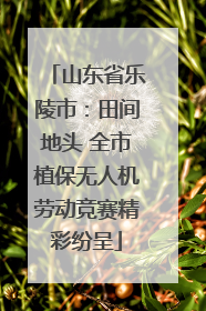 山东省乐陵市：田间地头 全市植保无人机劳动竞赛精彩纷呈