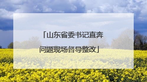 山东省委书记直奔问题现场督导整改