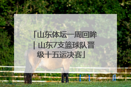 山东体坛一周回眸｜山东7支篮球队晋级十五运决赛