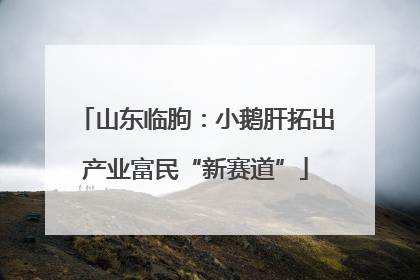 山东临朐：小鹅肝拓出产业富民“新赛道”