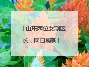 山东两位女副区长，同日履新