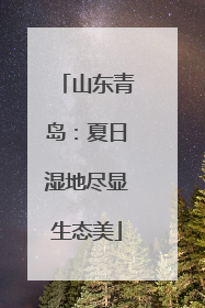 山东青岛：夏日湿地尽显生态美