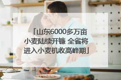 山东6000多万亩小麦陆续开镰 全省将进入小麦机收高峰期