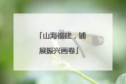 山海福建，铺展振兴画卷