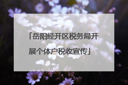 岳阳经开区税务局开展个体户税收宣传
