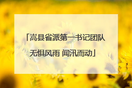 嵩县省派第一书记团队 无惧风雨 闻汛而动