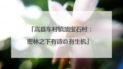 嵩县车村镇顶宝石村：密林之下有诗意有生机