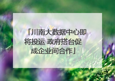 川南大数据中心即将投运 政府搭台促成企业间合作