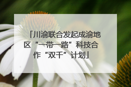 川渝联合发起成渝地区“一带一路”科技合作“双千”计划