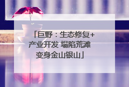 巨野：生态修复+产业开发 塌陷荒滩变身金山银山