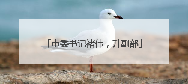 市委书记褚伟，升副部