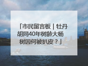 市民留言板｜牡丹胡同40年树龄大杨树因何被扒皮？