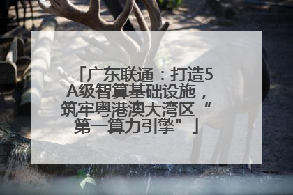 广东联通：打造5A级智算基础设施，筑牢粤港澳大湾区“第一算力引擎”