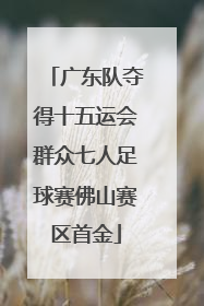 广东队夺得十五运会群众七人足球赛佛山赛区首金